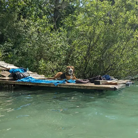 Ferienhaus Badischer Neubau-ruhe-kunst-natur Rheinau