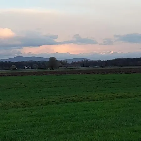 בית נופש Badischer Neubau-ruhe-kunst-natur *