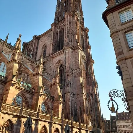 Badischer Neubau-ruhe-kunst-natur Ferienhaus