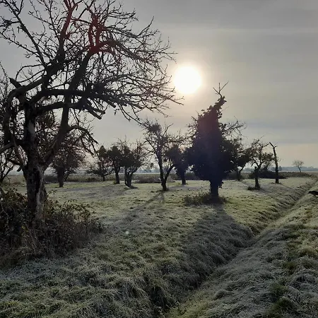 Badischer Neubau-ruhe-kunst-natur