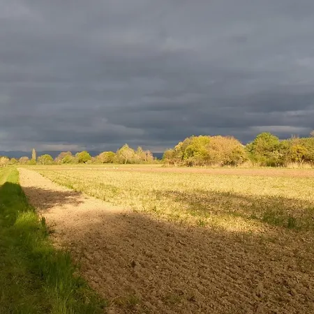 Badischer Neubau-ruhe-kunst-natur