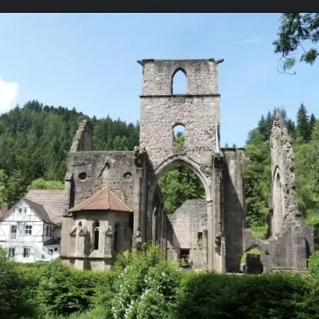 Badischer Neubau-ruhe-kunst-natur Rheinau