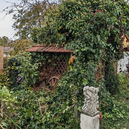 Badischer Neubau-ruhe-kunst-natur *