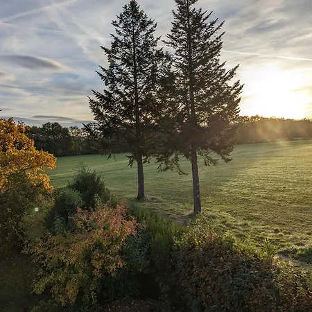 Badischer Neubau-ruhe-kunst-natur Ferienhaus