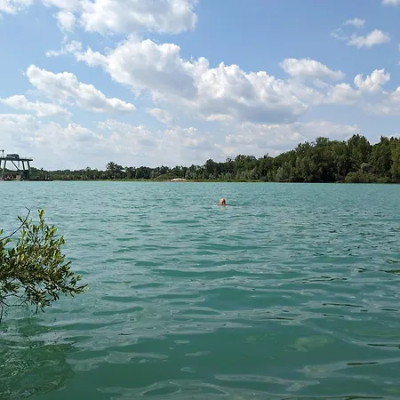 Badischer Neubau-ruhe-kunst-natur Ferienhaus Rheinau