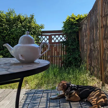 Ferienhaus Badischer Neubau-ruhe-kunst-natur