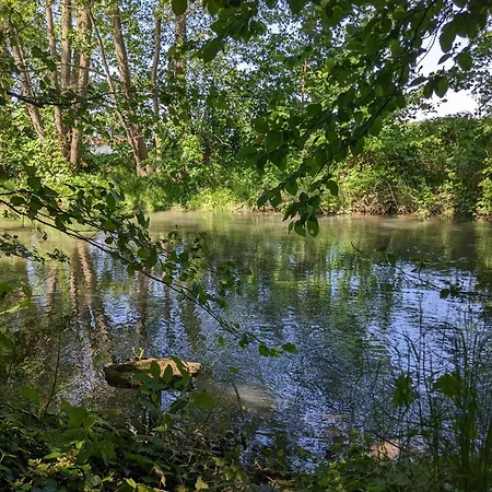Ferienhaus Badischer Neubau-ruhe-kunst-natur *