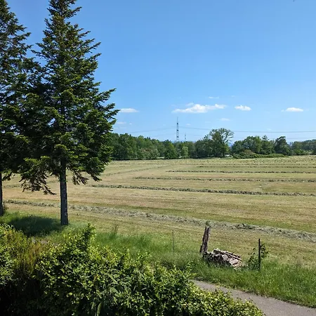 Ferienhaus Badischer Neubau-ruhe-kunst-natur *