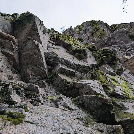 Badischer Neubau-ruhe-kunst-natur Ferienhaus