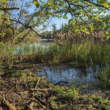 Badischer Neubau-ruhe-kunst-natur בית נופש *