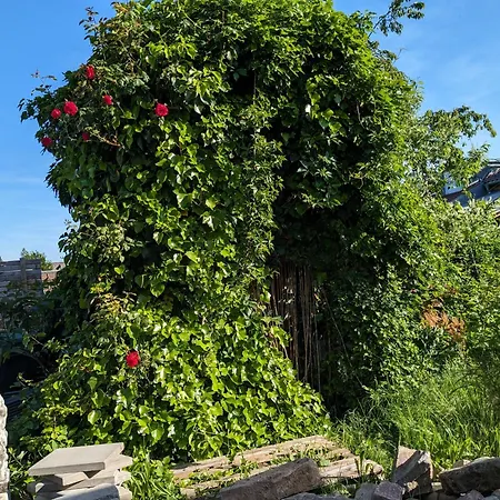 Badischer Neubau-ruhe-kunst-natur Ferienhaus Rheinau