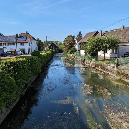 Badischer Neubau-ruhe-kunst-natur * Rheinau