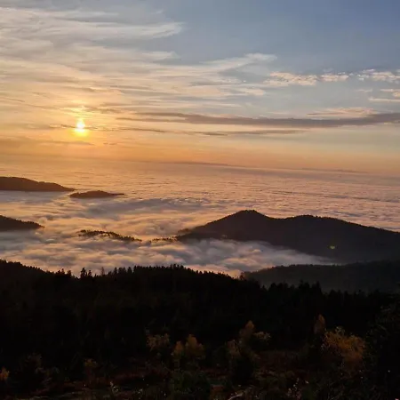 Badischer Neubau-ruhe-kunst-natur Ferienhaus Rheinau