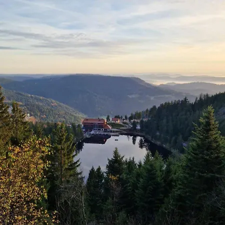 Badischer Neubau-ruhe-kunst-natur Ferienhaus