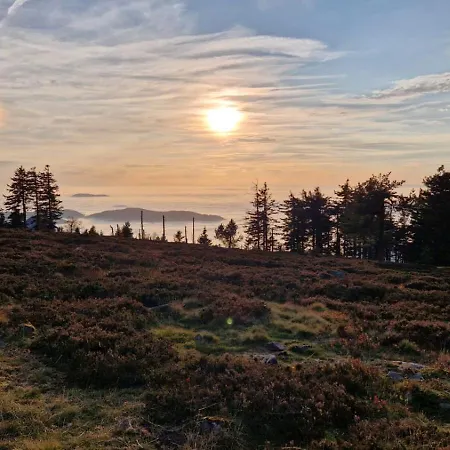 Badischer Neubau-ruhe-kunst-natur Ferienhaus *