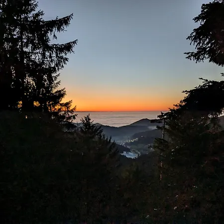 Badischer Neubau-ruhe-kunst-natur *