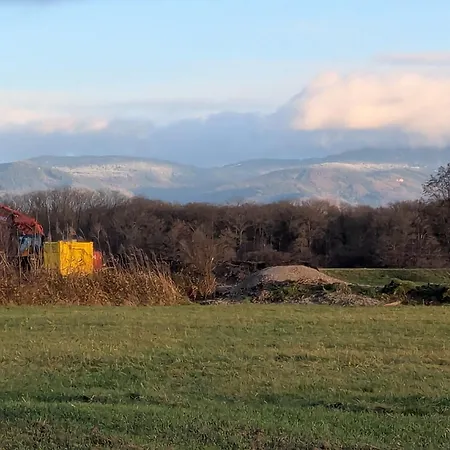 Badischer Neubau-ruhe-kunst-natur Ferienhaus
