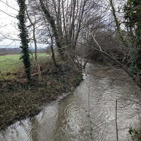 Ferienhaus Badischer Neubau-ruhe-kunst-natur Rheinau