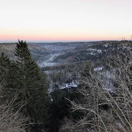 Badischer Neubau-ruhe-kunst-natur * Rheinau
