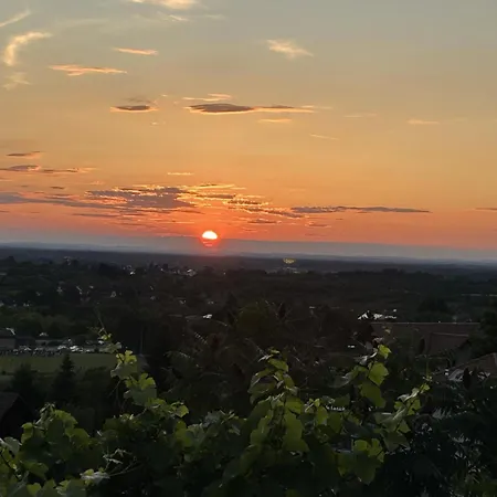 Ferienhaus Badischer Neubau-ruhe-kunst-natur Rheinau