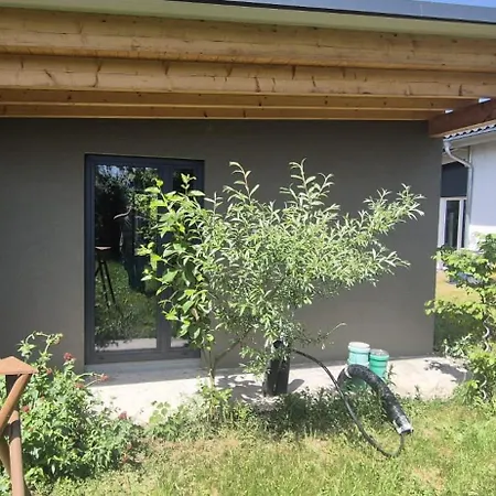 Badischer Neubau-ruhe-kunst-natur Ferienhaus Rheinau