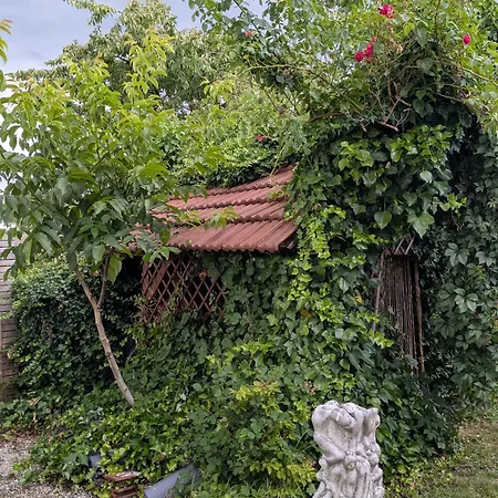 Ferienhaus Badischer Neubau-ruhe-kunst-natur