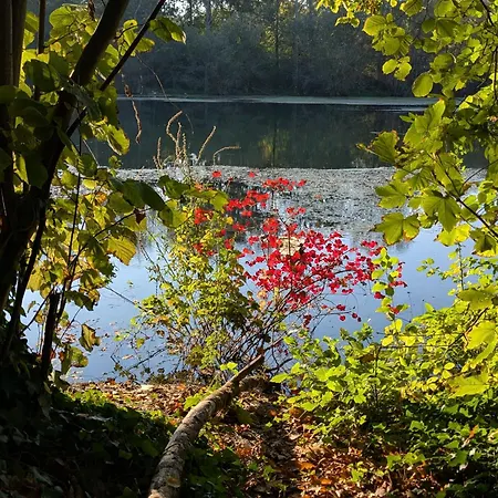 Badischer Neubau-ruhe-kunst-natur Σπίτι διακοπών