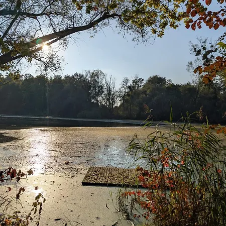 Badischer Neubau-ruhe-kunst-natur Ferienhaus Rheinau