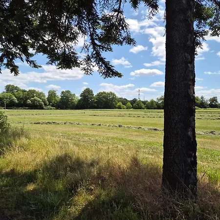 Badischer Neubau-ruhe-kunst-natur Hébergement de vacances *